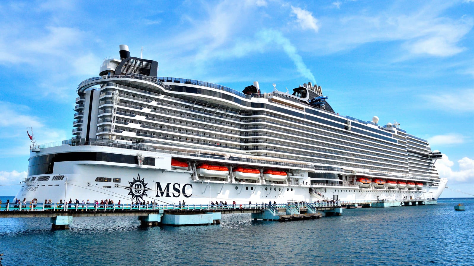 MSC Cruises logo